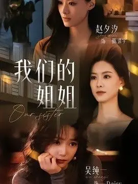 我们的姐姐 全集完结