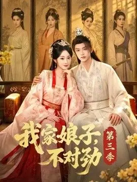 我家娘子,不对劲第三季 全集完结