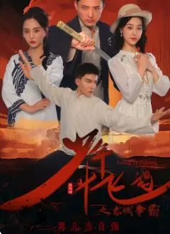 少年叶飞鸿之龙城争霸 全集完结