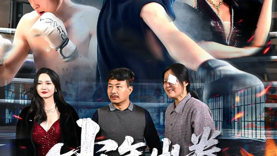 少年出拳天下惊 全集完结