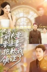 前夫要追妻，抱歉我领证了