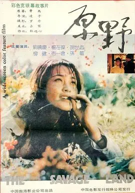原野 HD国语