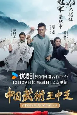 中国武术王中王 2050112