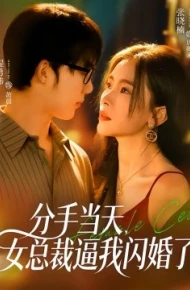 分手当天，女总裁逼我闪婚了