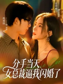 分手当天,女总裁逼我闪婚了 第01集