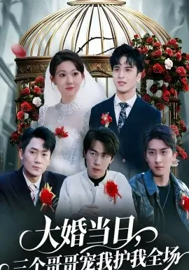 大婚当日,三个哥哥宠我护我全场 第01集