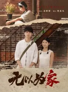无以为家 全集完结