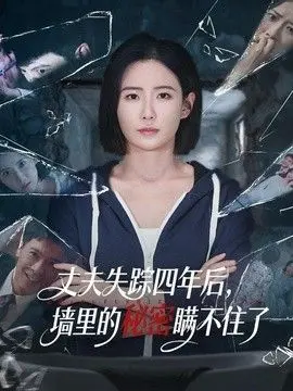 丈夫失踪四年后，墙里的秘密瞒不住了 全集完结