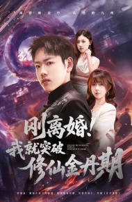 刚离婚！我就突破修仙金丹期