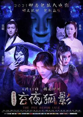 玄夜狐影 正片