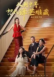 人到中年,恕我锋芒难藏 全集完结
