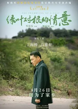 绿叶对根的情意 正片