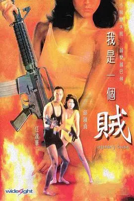 我是一个贼（普通话版） HD国语