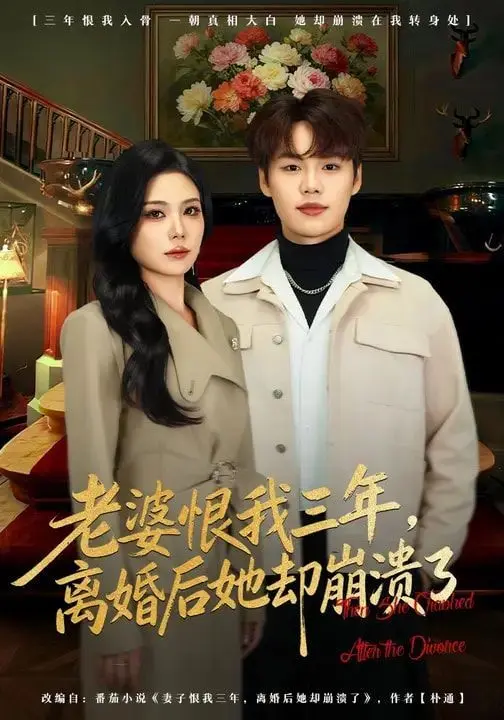 老婆恨我三年,离婚后她却崩溃了 全集完结
