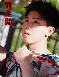 铤而走险(步步高升)(幸福人生) 第1-20集