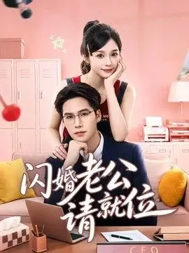 闪婚老公请就位 全集完结