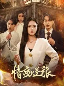 情殇逆旅 第48集