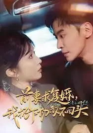 前妻求复婚,我扔下协议不回头 全集完结