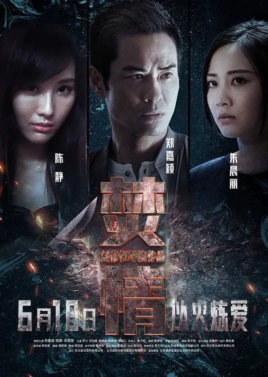 焚情国语 正片