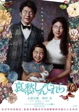 哀愁灰姑娘 HD中字