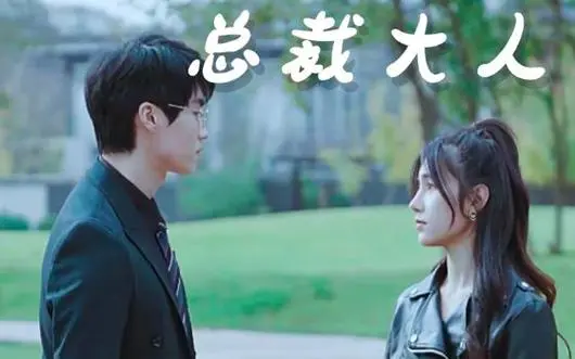 我的总裁大人 第1-20集