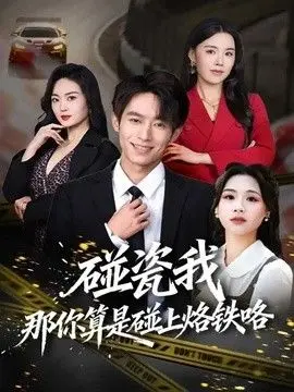 碰瓷我那你算是碰上烙铁咯 全集完结