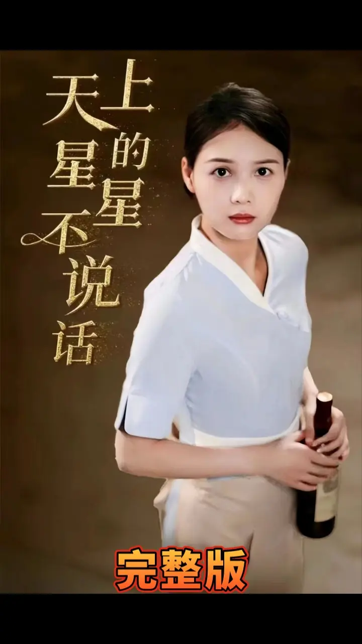 天上的星星不说话 第1-20集