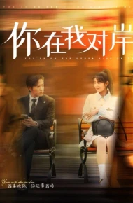 你在我对岸