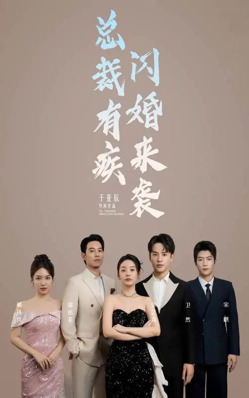 总裁有疾闪婚来袭 第1-20集