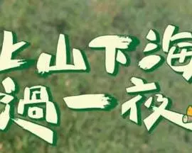 上山下海过一夜 20250102