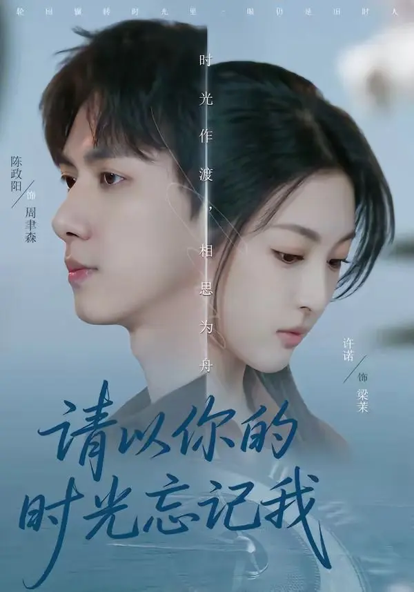 请以你的时光忘记我 全集完结