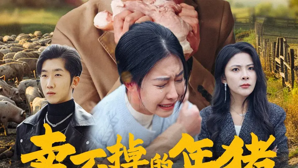 卖不掉的年猪 第01集