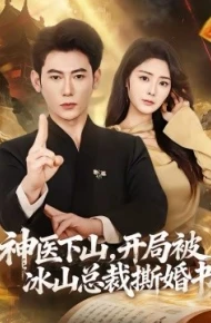 神医下山，开局被冰山总裁撕婚书