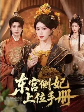 东宫侧妃上位手册 第01集