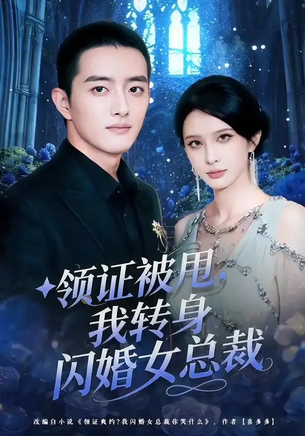 领证被甩,我转身闪婚女总裁 第01集
