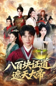 八百块证道遮天大帝