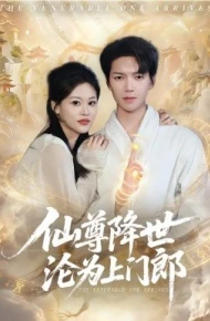 仙尊降世沦为上门郎