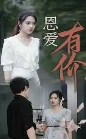 恩爱有价 全集