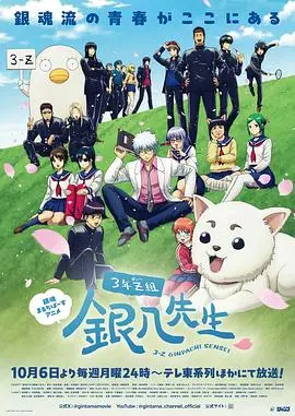 3年Z组银八老师 第01集