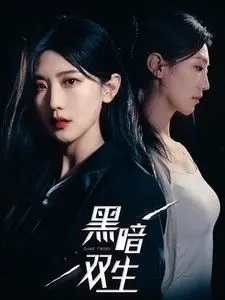 黑暗双生 全集完结
