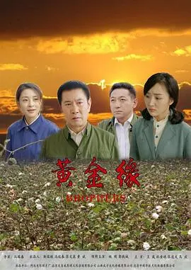 黄金缘 HD国语