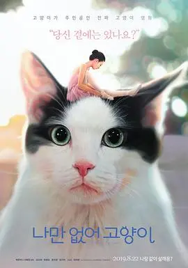 只有我没有猫 正片