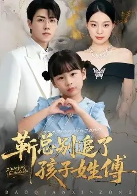 靳总别追了，孩子姓傅 第01集