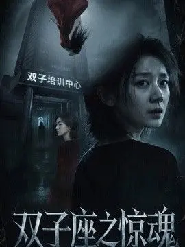 双子座之惊魂 全集完结