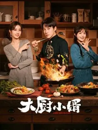 大厨小婿 第01集