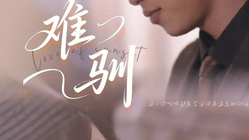 难驯 第1-30集