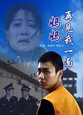 妈妈再见我一面 正片