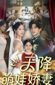 天降萌娃娇妻
