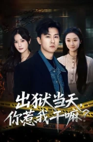 出狱当天,你惹我干嘛?