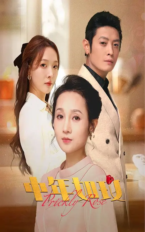 中年如玫 第1-20集